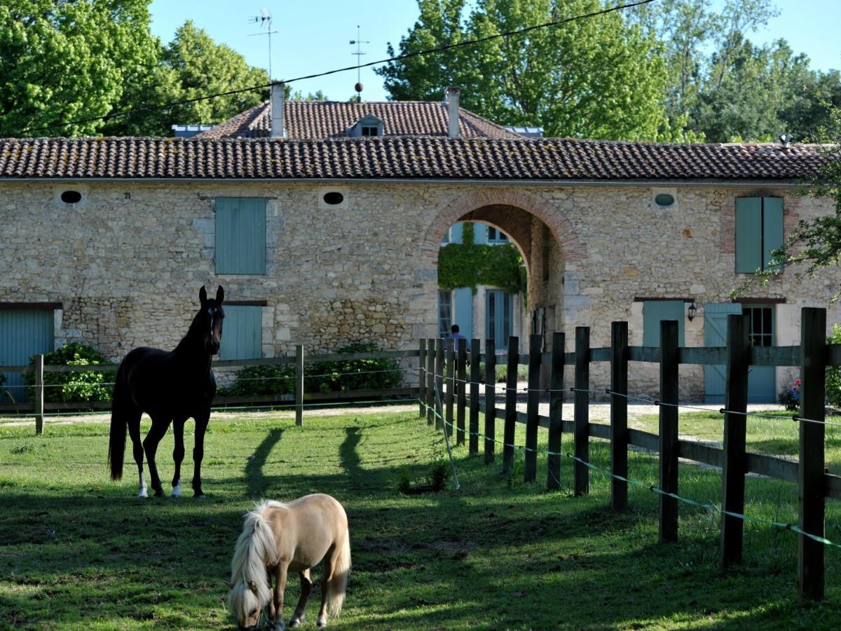 Chateau De L'Isle - Chambres D'Hotes Castelnau-de-Medoc Exterior photo